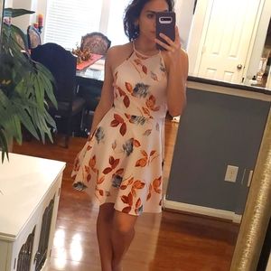 Papaya Pink Medium Flared Dress